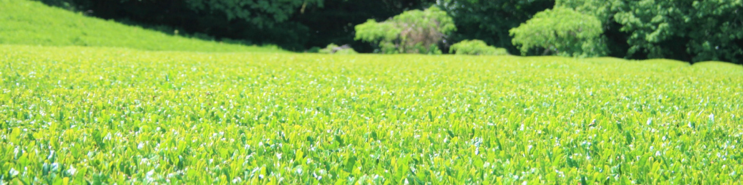 狭山茶寮ぷれみあむ さやま茶らんぐ